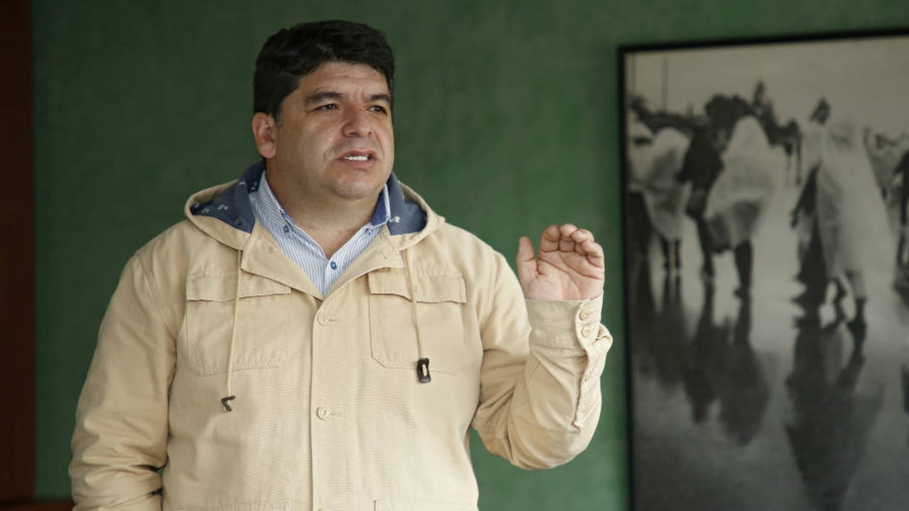 Nelson Javier Alarcón Suárez